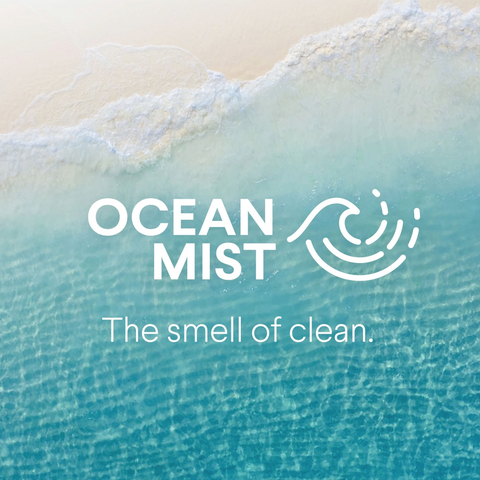 Clorox Bathroom  Bleach Foamer - Ocean Mist - 30oz Spray Bottle
