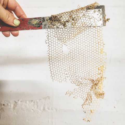 Solid Perfume - Honeysuckle - Handmade with Beeswax