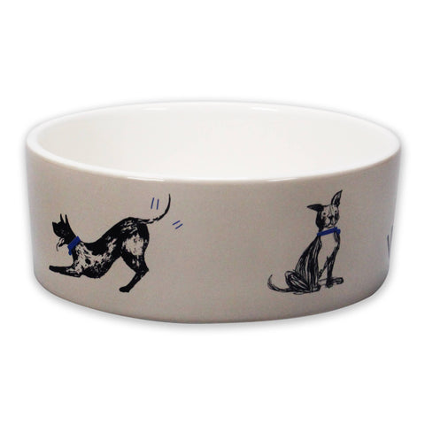 Ceramic Dog Bowl Pets