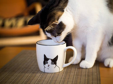 Blk/Wht Peering Cat Mug-3"