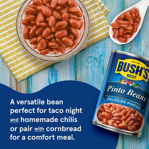 Bush Pinto Beans - 16oz Can