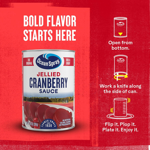 Ocean Spray Jellied Cranberry Sauce - 14oz Can
