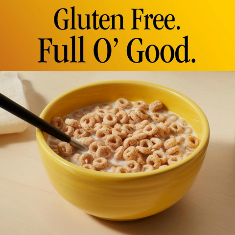 Cheerios Honey Nut Breakfast Cereal Gluten Free - Family Size - 18.8oz Box