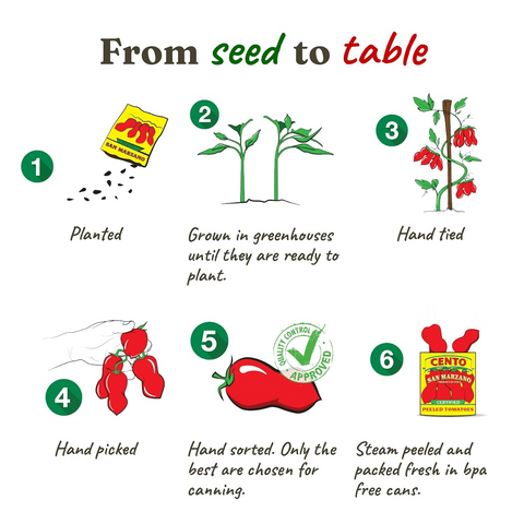 Cento Certified San Marzano Whole Peeled Tomatoes - 28oz Can