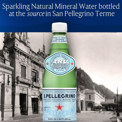 S.Pellegrino Sparkling Natural Mineral Water - 16.9oz