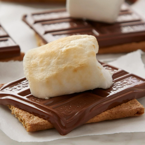 Hershey's Milk Chocolate Candy Bar - 1.55oz