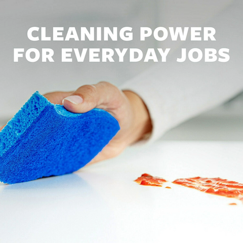 Scotch-Brite Zero Scratch Scrub Sponge