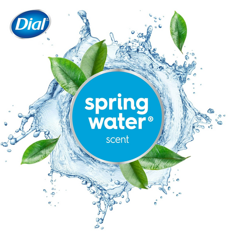 Dial Antibacterial Bar Soap - Spring Water - 4oz Bar