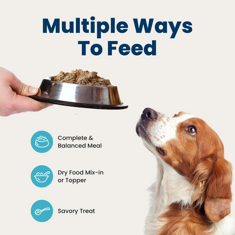 Blue Buffalo Homestyle Recipe Chicken Dinner Wet Dog Food - 12.5oz Can