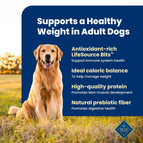 Blue Buffalo Life Protection Formula Healthy Weight Large Dog Food - 5lb Bag