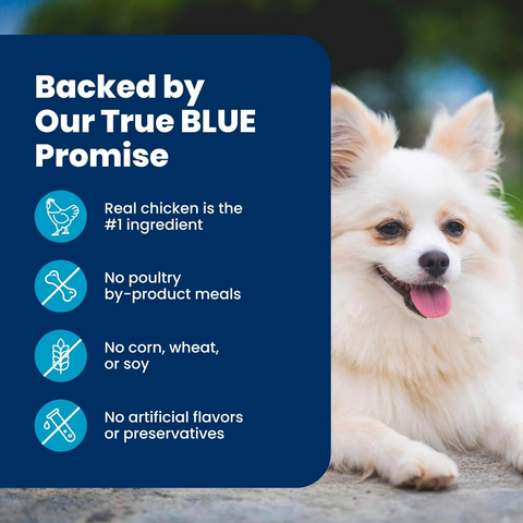 Blue Buffalo Life Protection Formula Lamb Small Breed Dry Dog Food - 5lb Bag