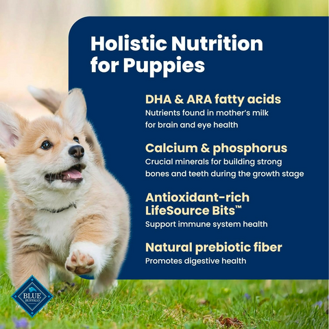 Blue Buffalo Life Protection Formula Chicken Puppy Dry Dog Food - 5lb Bag