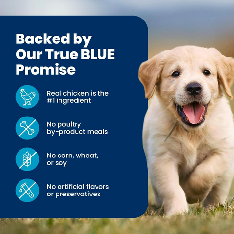 Blue Buffalo Life Protection Formula Chicken Puppy Dry Dog Food - 5lb Bag