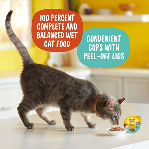 Meow Mix Chunks in Gravy With Tasty Real Ocean Whitefish & Tuna - 2.75oz Cup