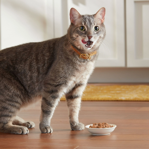 Meow Mix Chunks in Gravy With Tasty Real Ocean Whitefish & Tuna - 2.75oz Cup