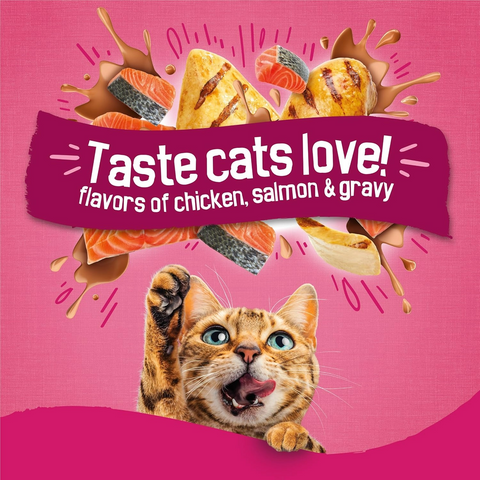 Friskies Purina Gravy Swirlers Dry Cat Food - Chicken & Salmon - 3.15lb Bag