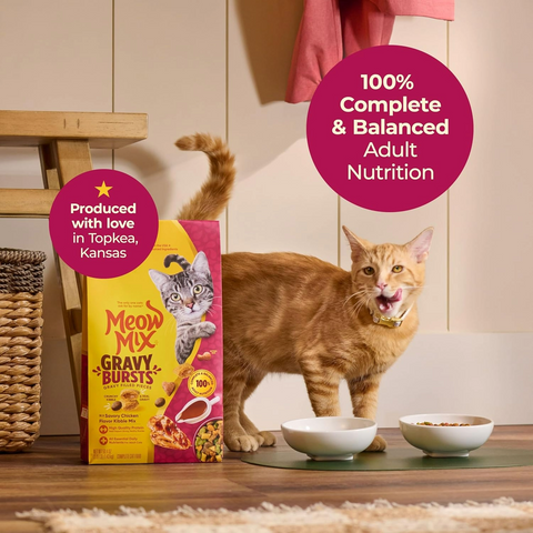 Meow Mix Gravy Bursts Dry Cat Food - 3lb Bag