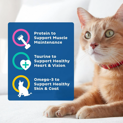 9Lives Daily Essentials Dry Cat Food - 28 Pound Bag