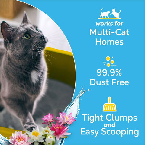 Tidy Cats Multi-Cat Clumping Litter With Glade Clear Springs Scent - 21lb Jug