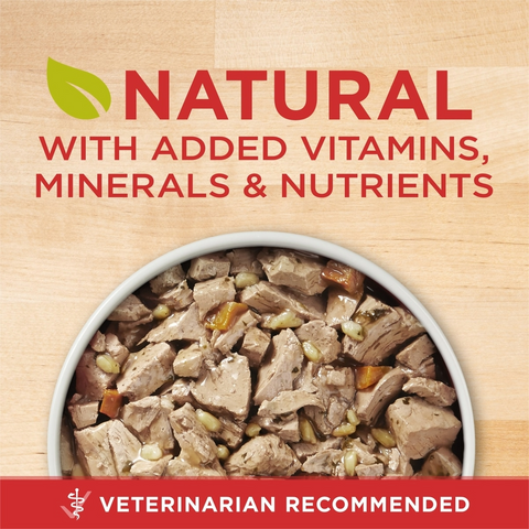Purina ONE Adult Canned Dog Food - Tender Cuts in Gravy Chicken & Brown Rice Entree - 13oz Can