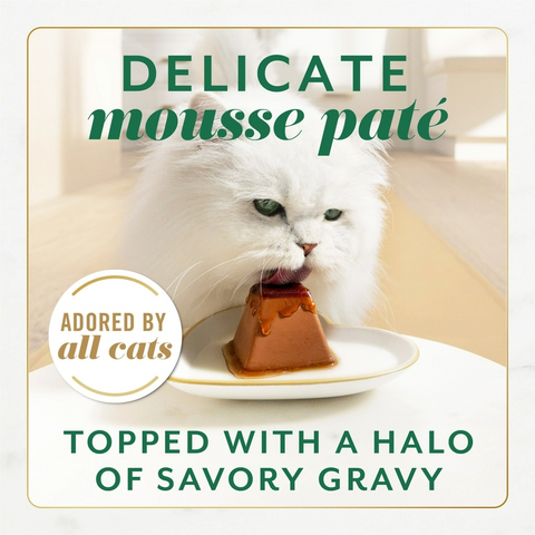 Purina Fancy Feast Gems Pate Mousse Cat Food - Salmon - 2 Pack