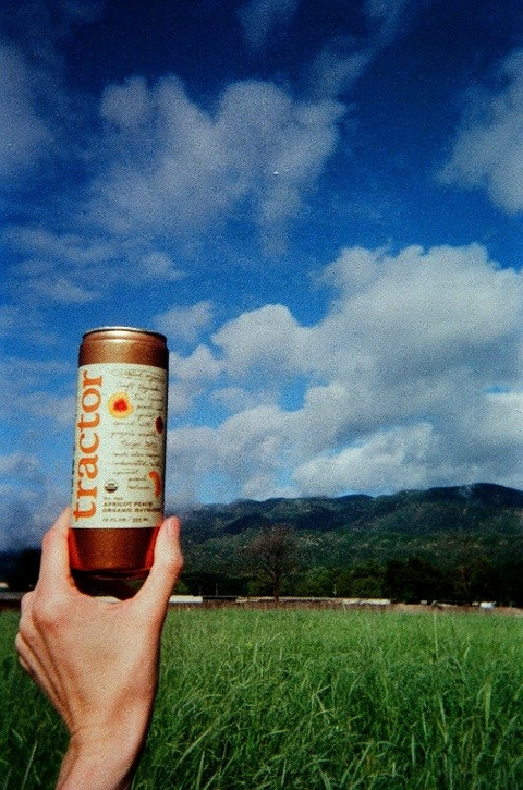 Tractor Beverage Haymaker Organic Sparkling Tonic with Apple Cider Vinegar - Apricot Peach - 12oz Can