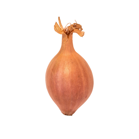 Shallots - 1 Piece
