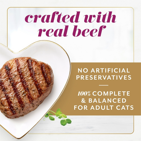 Purina Fancy Feast Gems Pate Mousse Cat Food - Beef - 2 Pack
